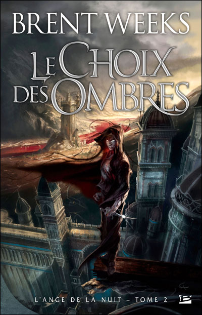 Le Choix des ombres